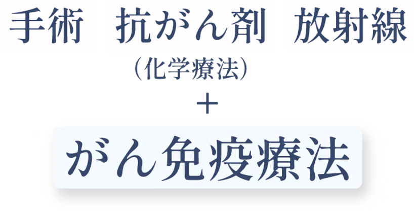 アセット 11.png
